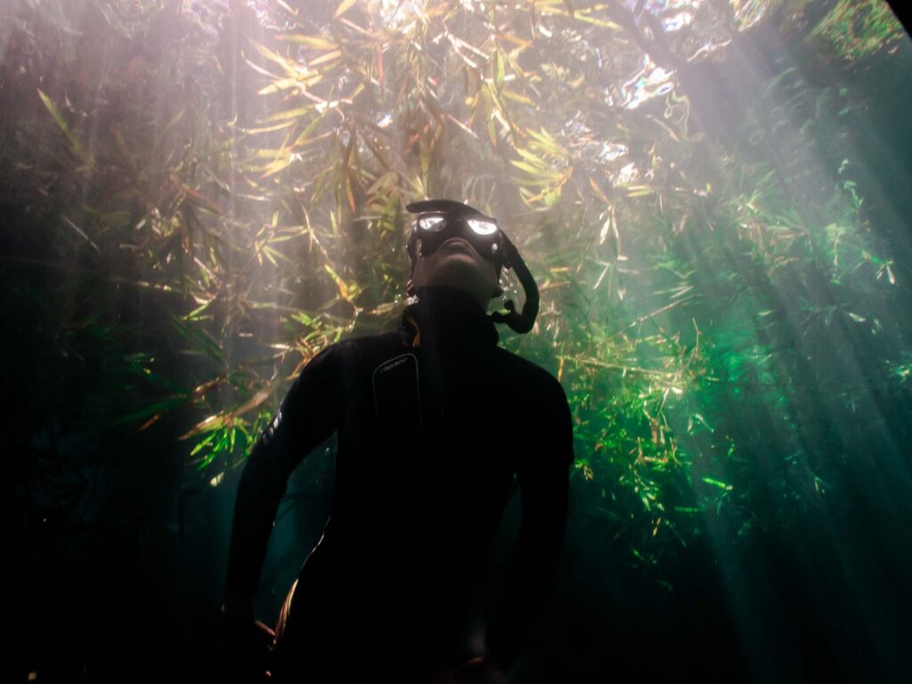 Underwater Freediving Photography Mauritius