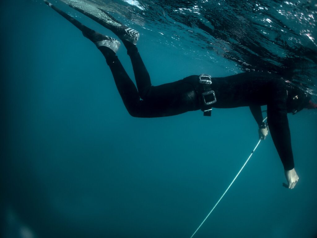 Underwater Freediving Photography Mauritius